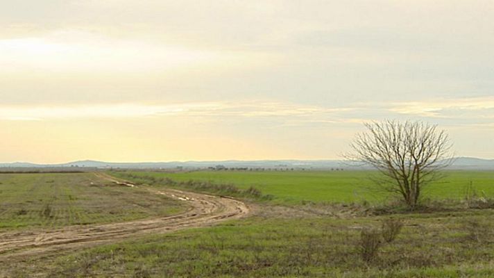 El tiempo - Ascenso moderado de temperaturas