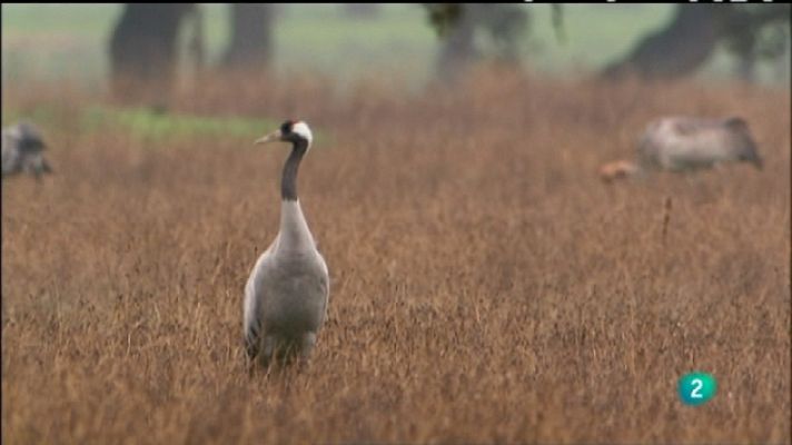 Biodiario - Biodiario - 22/03/12