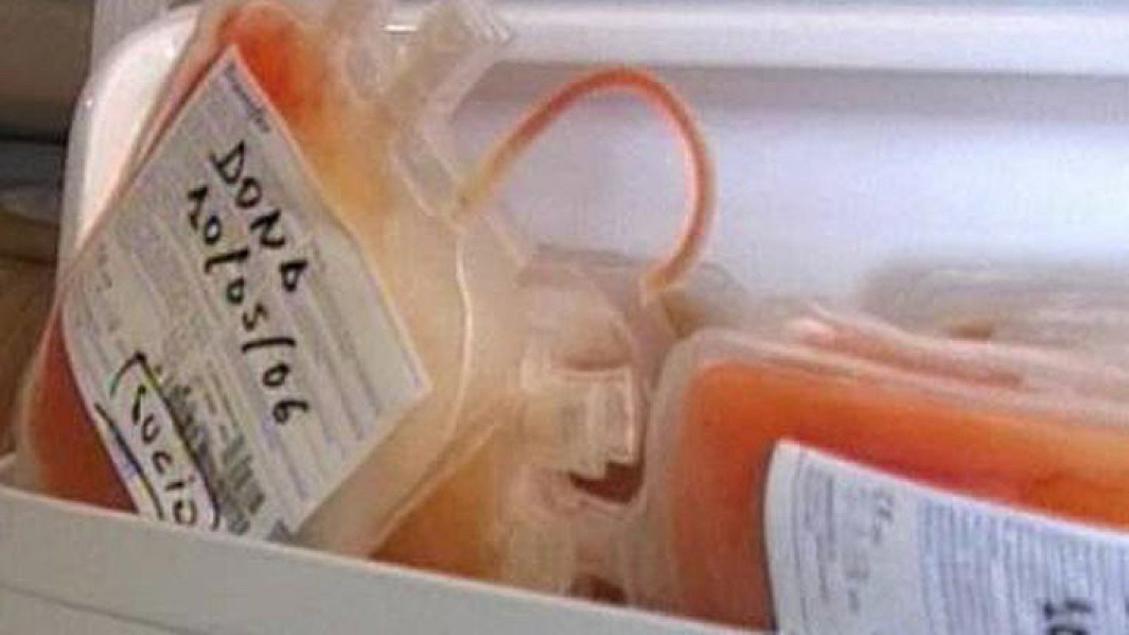 La Justicia anula actuaciones de la Operación Galgo 