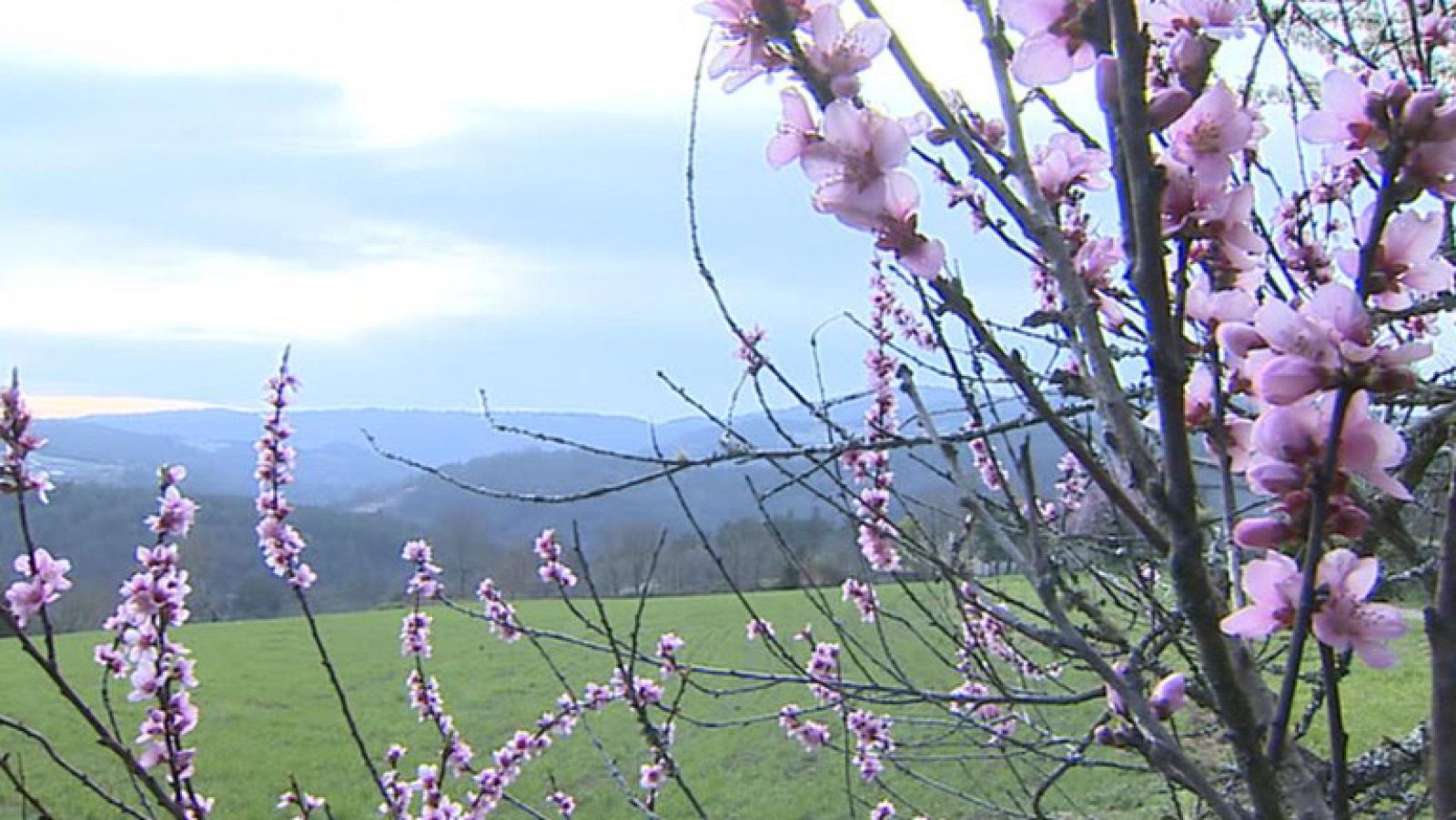 Lluvias débiles en Extremadura y Andalucía