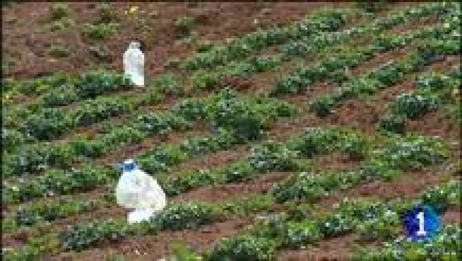 Canarias en 2'- 23/03/2012 | Ver