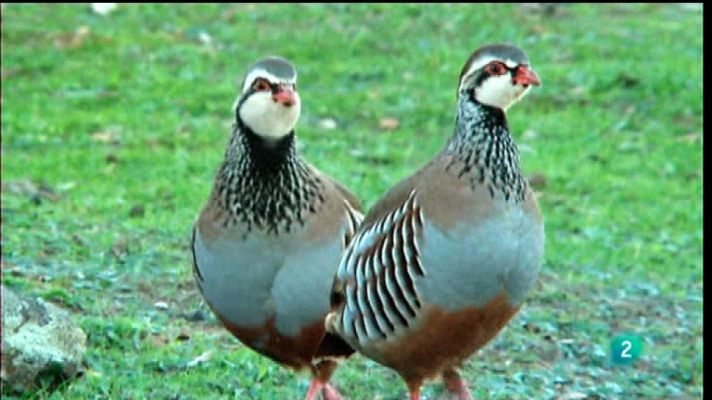 Jara y sedal - Gracias a todos