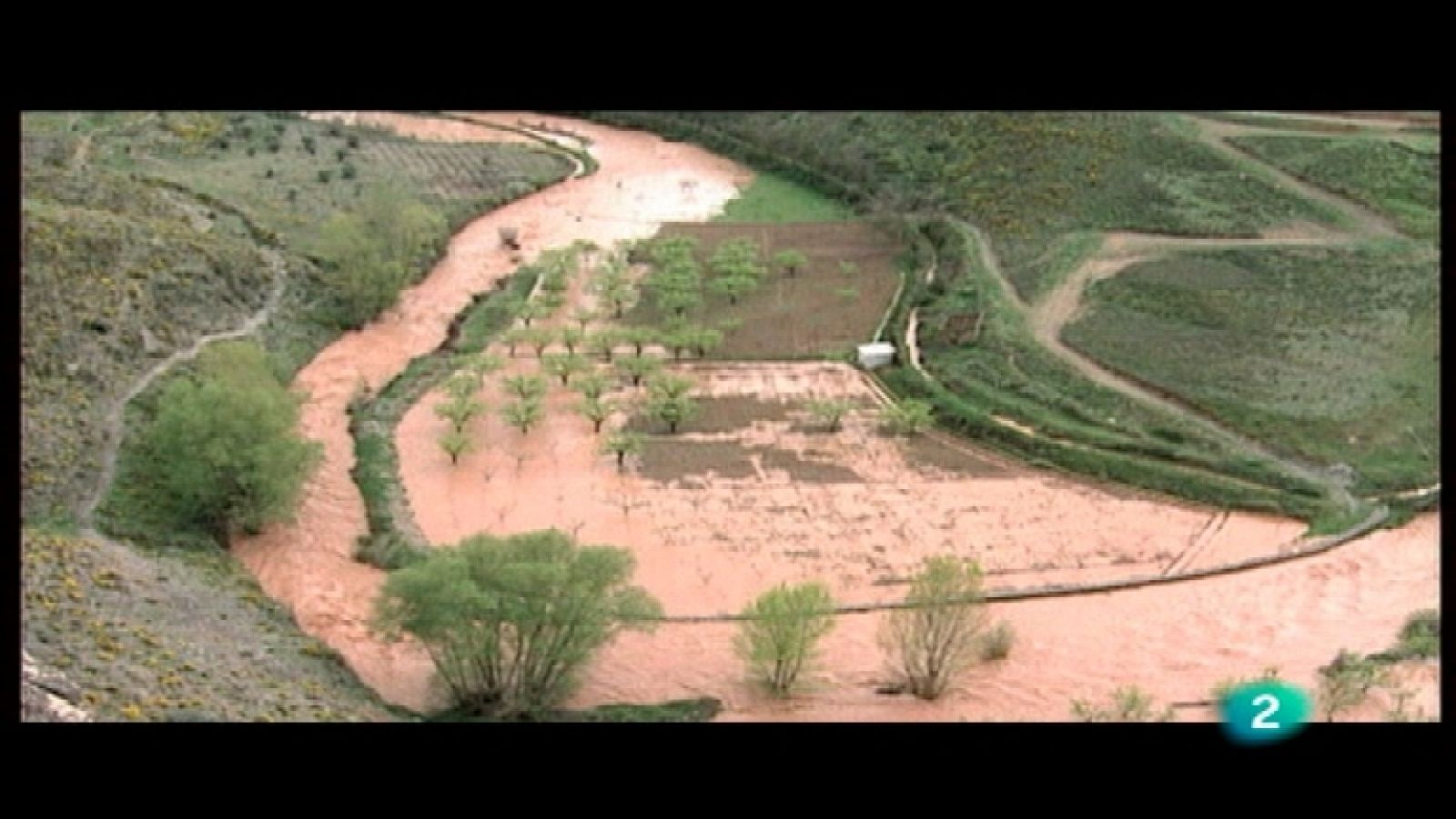 El bosque protector - La restauración de la cuenca del río Jiloca - Ver ahora