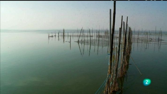 Biodiario - Biodiario - 25/03/12