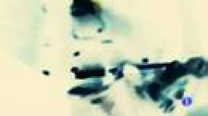 Telediario 1 - Nueva entrega de la saga REC