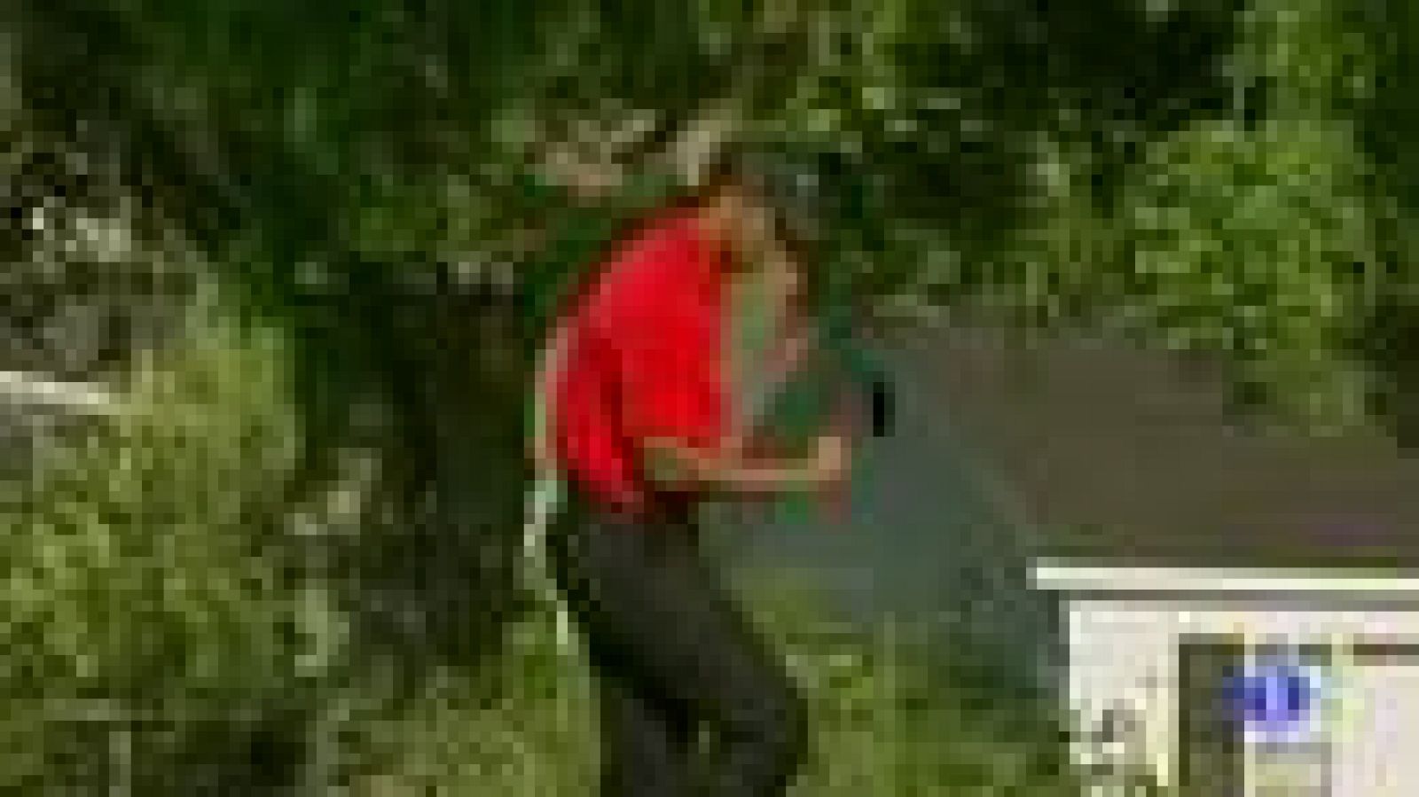 Tiger se reencuentra con el triunfo