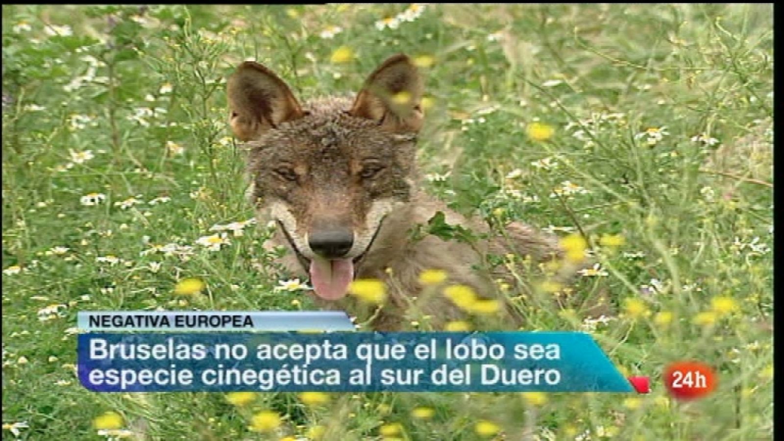 España en 24 horas - 26/03/12 - Ver ahora