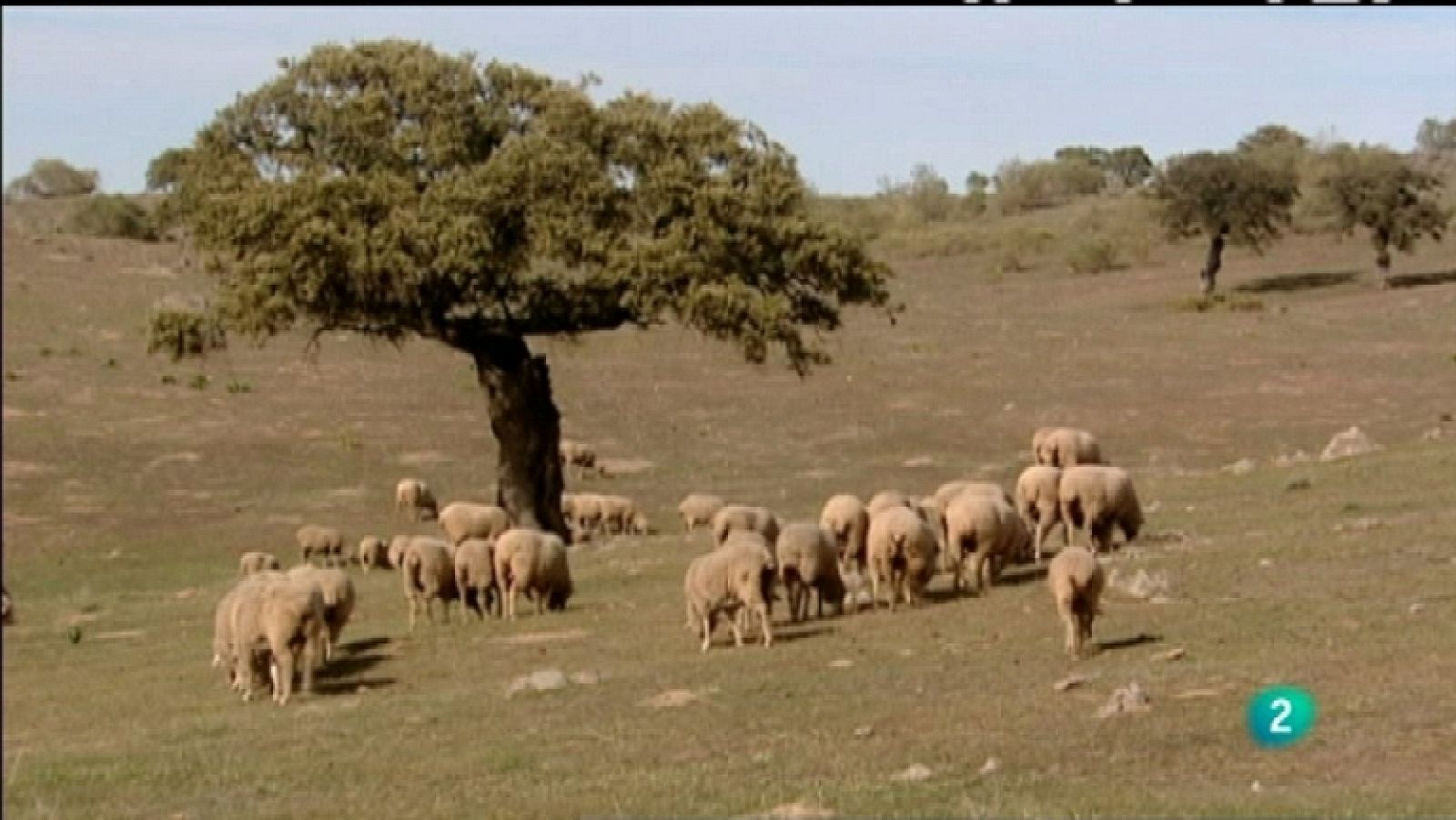 Biodiario - 26/03/12 - Ver ahora