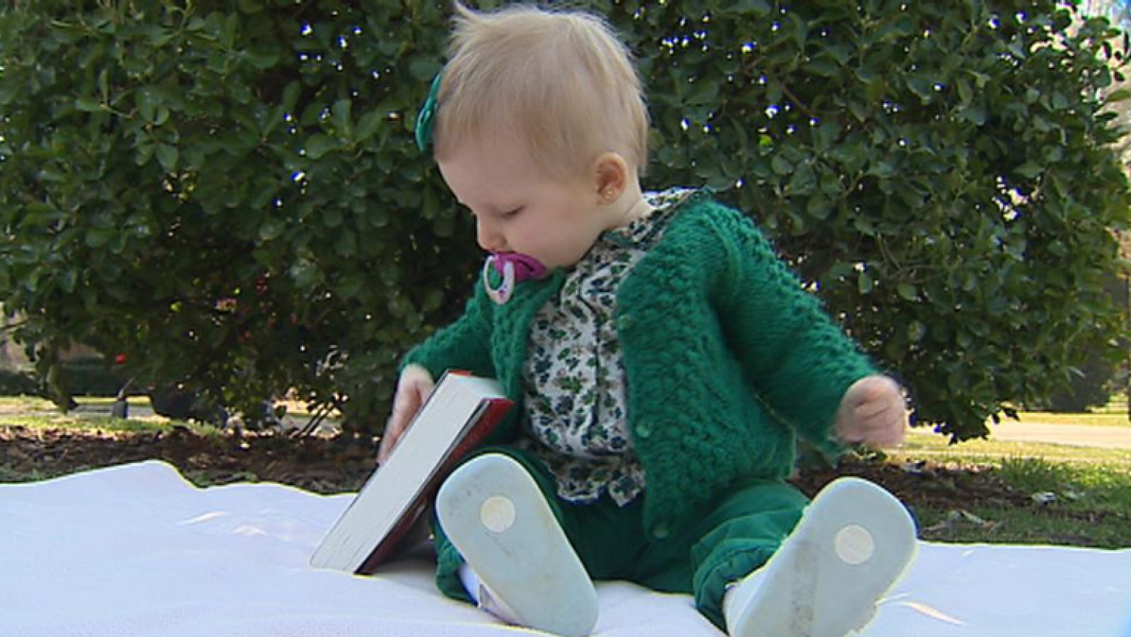 Ayuda profesional  para padres solos y angustiados ante la educación de sus hijos