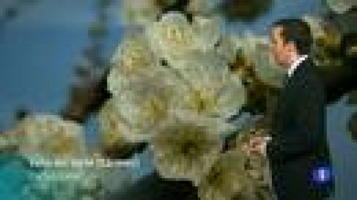 Noticias de Extremadura - El tiempo en Extremadura - 27/03/12