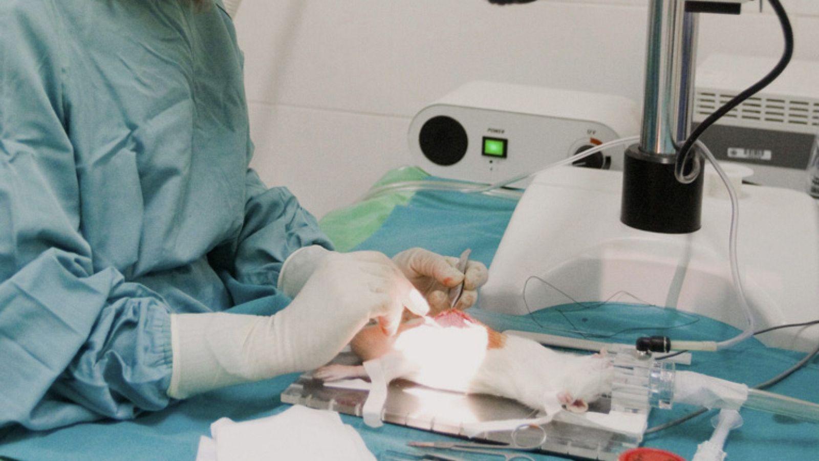 Firmas a favor de la investigación