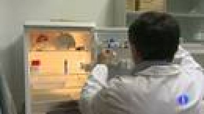 Telediario 1 - Firmas a favor de la investigación