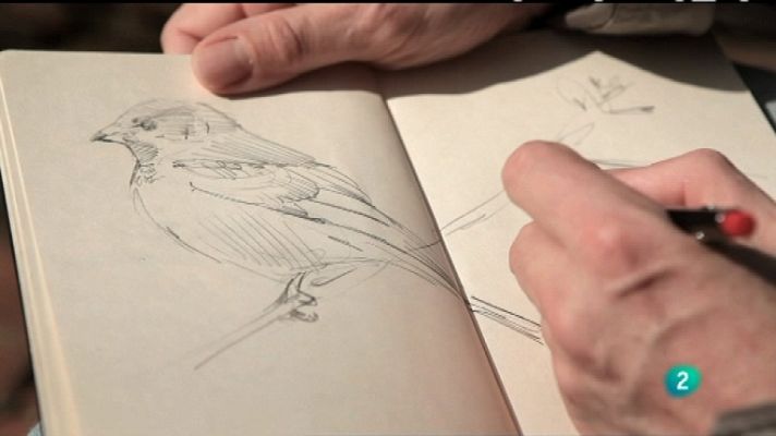 Biodiario - Biodiario - 29/03/12