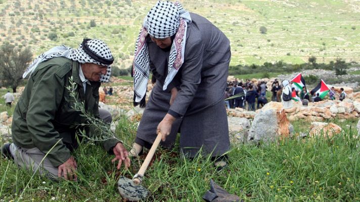 Telediario 1 - Los palestinos celebran el Día de la Tierra