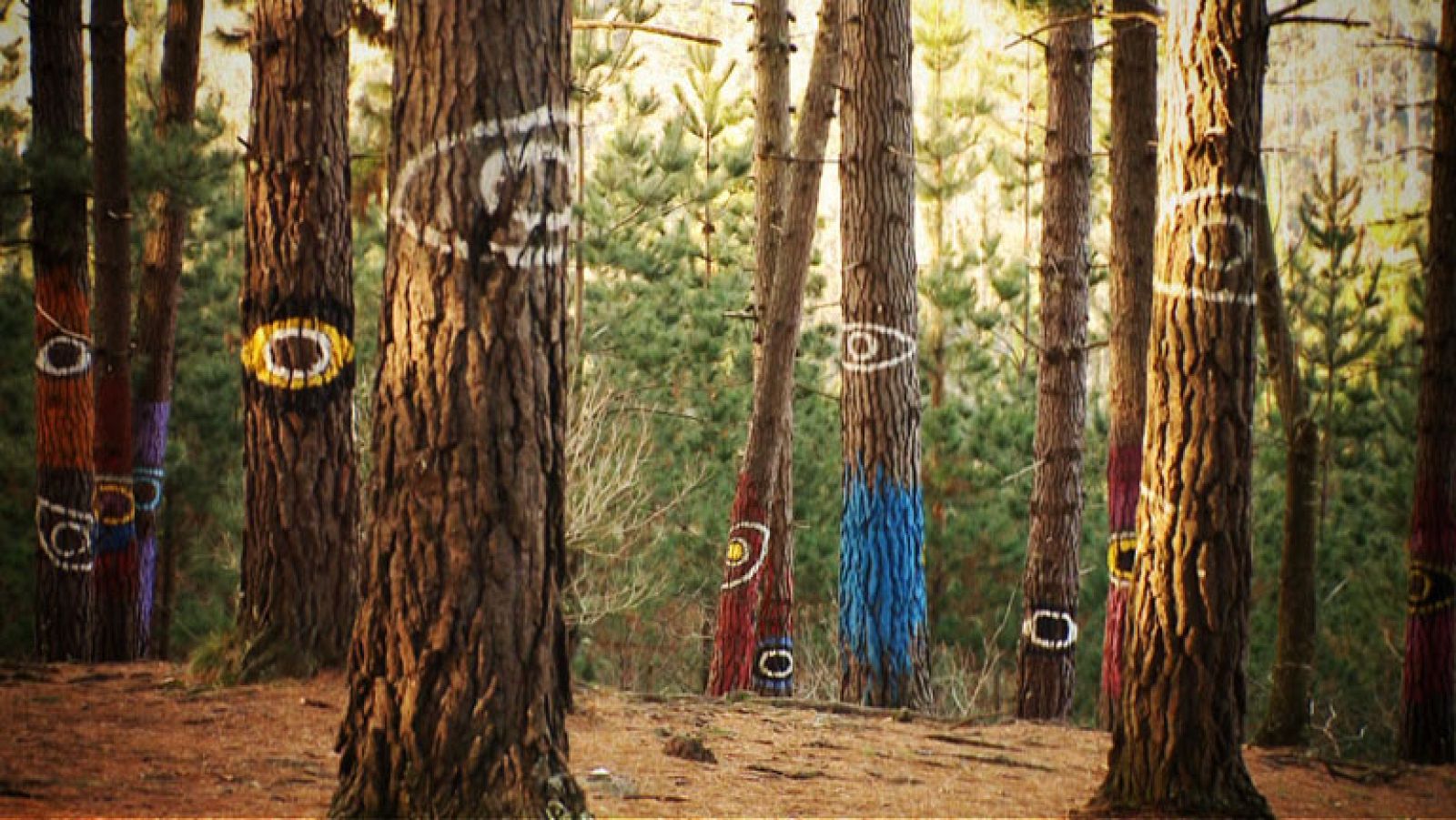 Destino:España - Euskadi VI - Avance | Ver