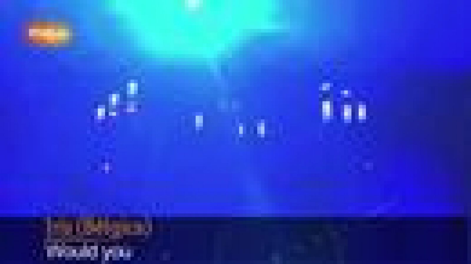 Bélgica - "Would you"