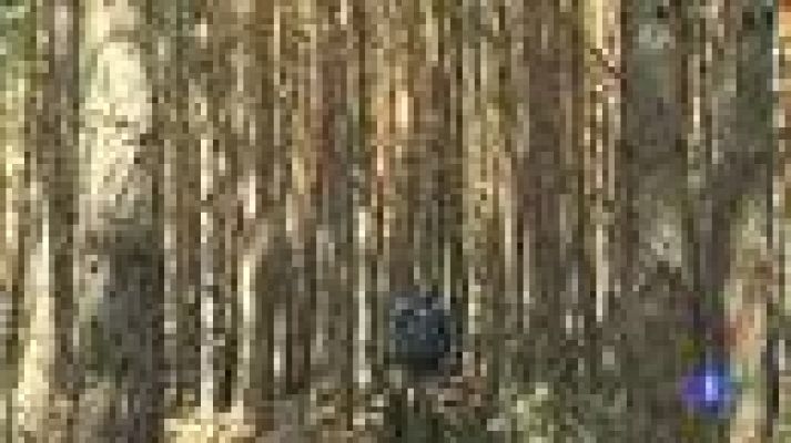 Telediario 1 - Vivir en el monte