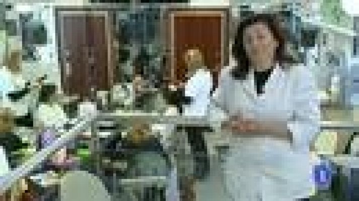 Telediario 1 - Cuidarse ante el cáncer