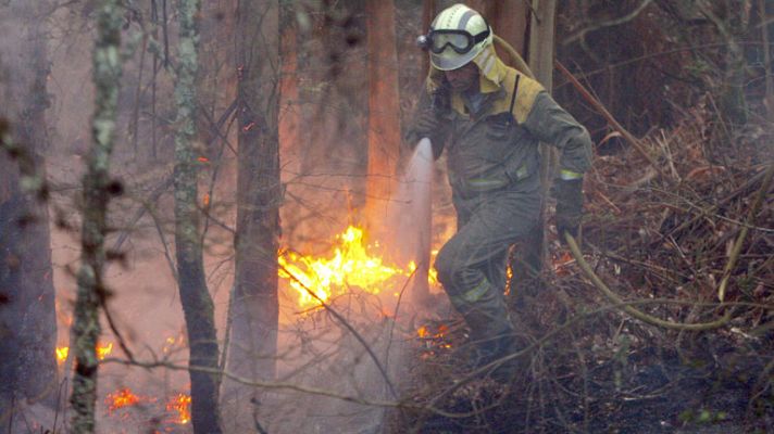 Informativo 24h - Declarado un incendio en Fragas do Eume, joya ecológica de Galicia