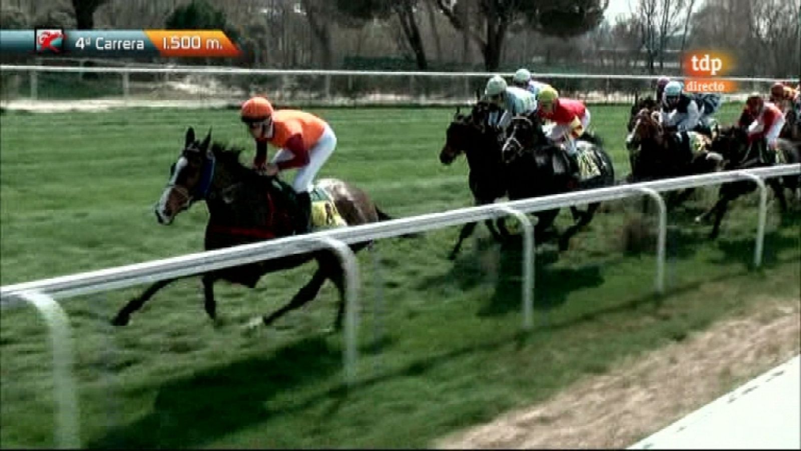 Turf. Carreras de caballos - 01/04/12 - Ver ahora