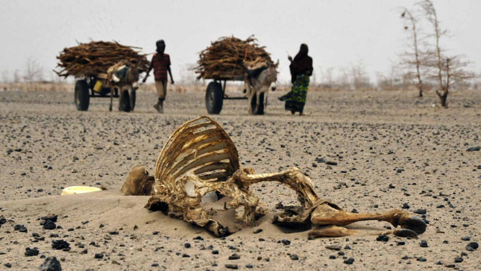 El cambio climático, una amenaza real