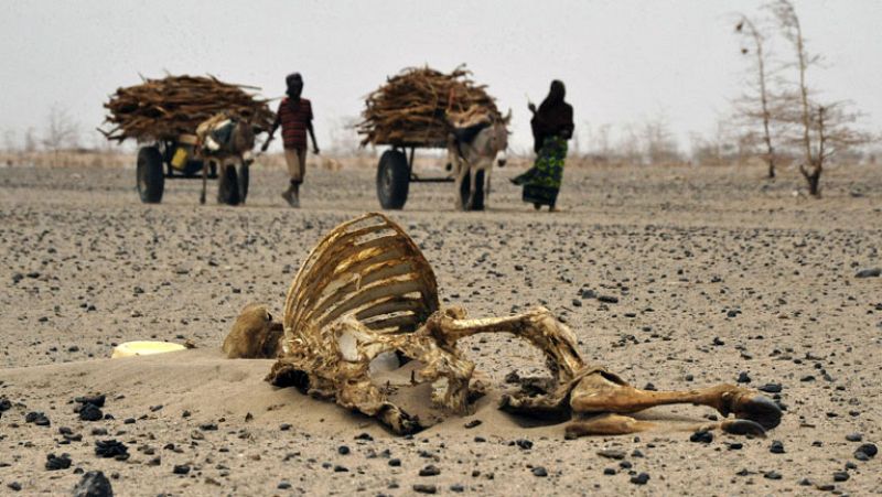 El cambio climático, una amenaza real