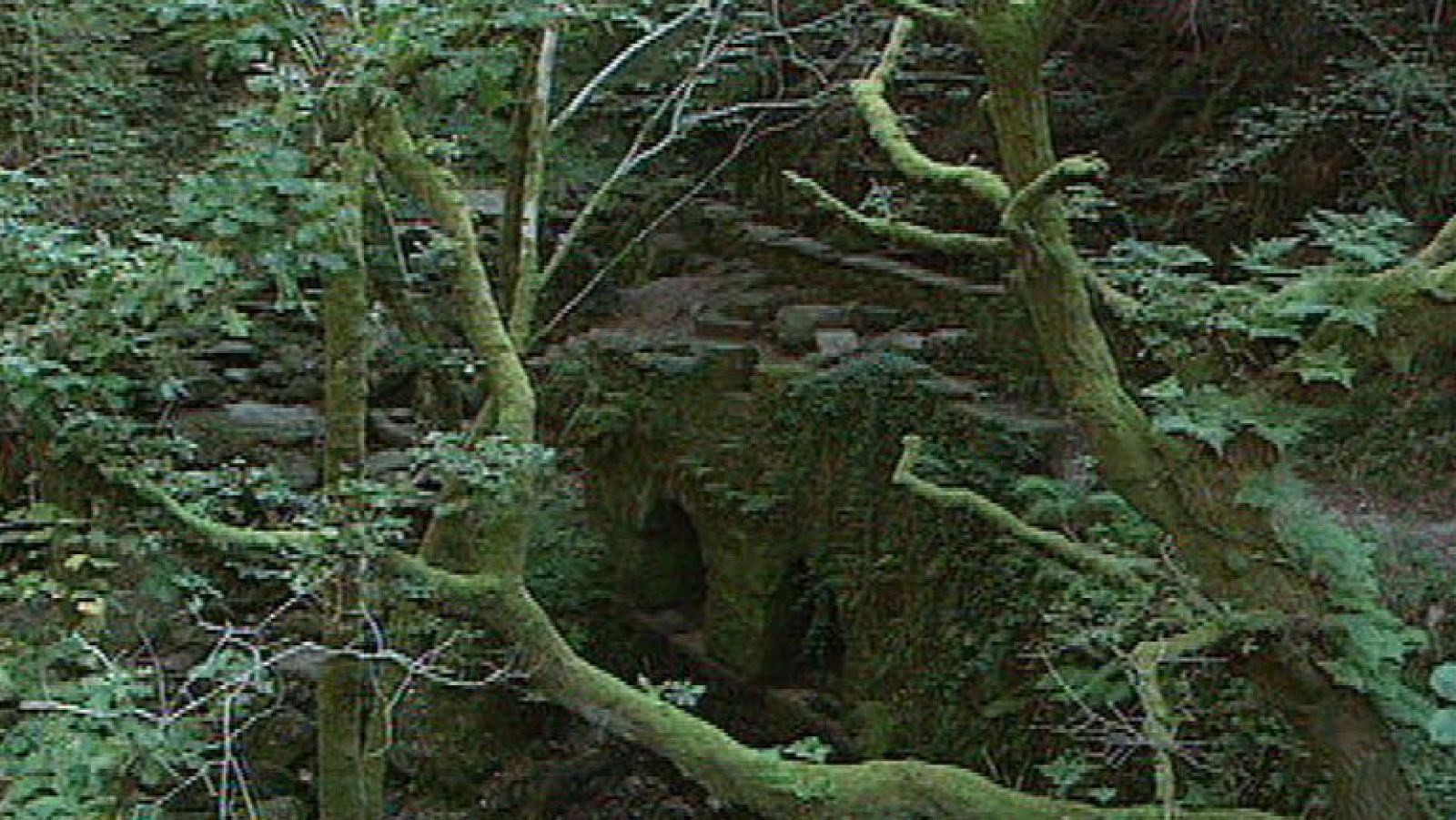 Así es el Parque Natural de Fragas Do Eume