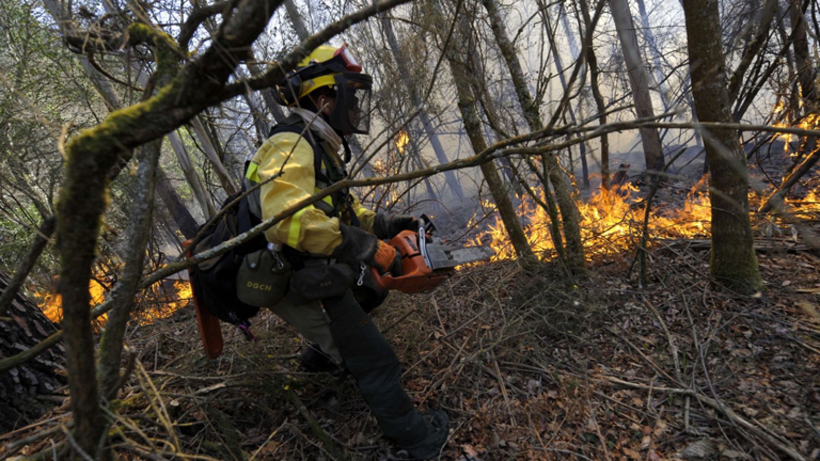 Bajo el fuego el Parque Natural de Fragas do Eume con más de 750 hectáreas quemadas