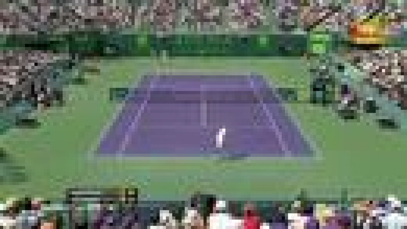 Sin programa: Djokovic reina en Miami | RTVE Play