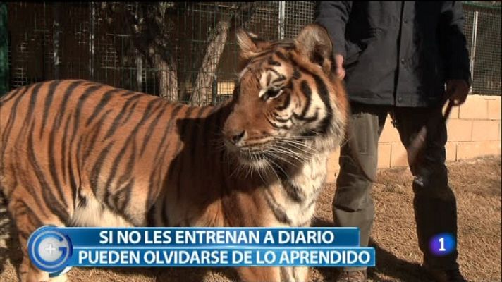 +Gente - Más Gente - 01/04/12