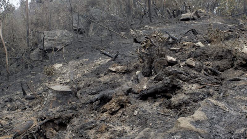 Los alcaldes afectados por el incendio de Fragas do Emeu se reúnen para evaluar los daños