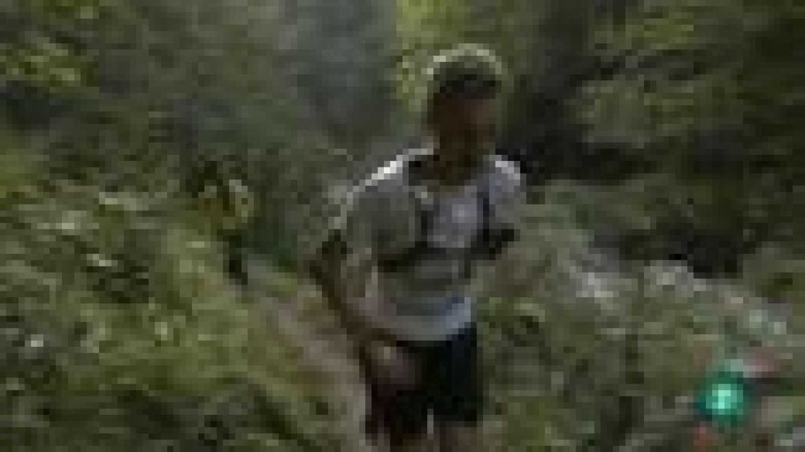 Para todos La 2 - Los ultrarails