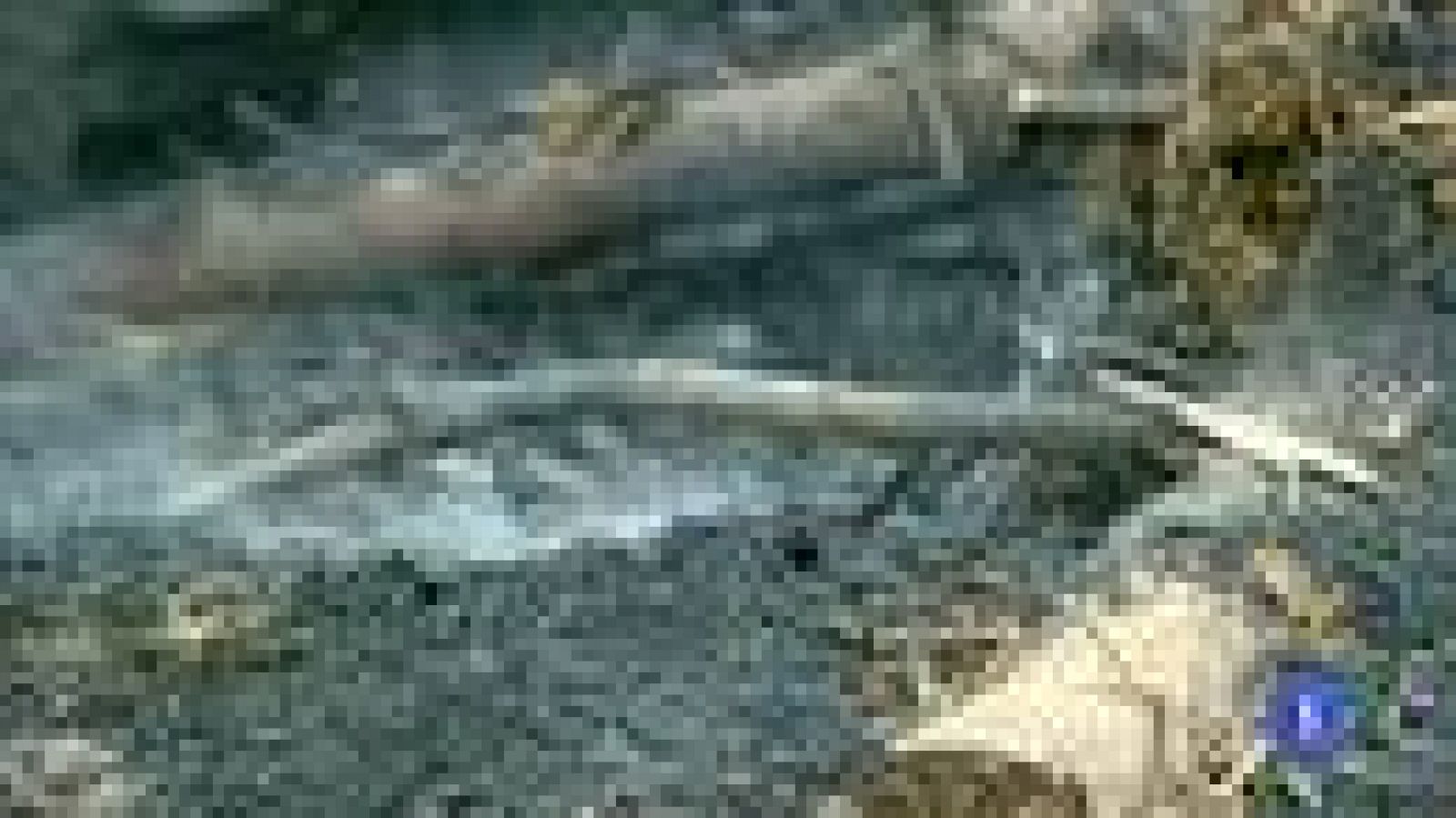 La Xunta  pide endurecer las penas para los culpables de incendios intencionados