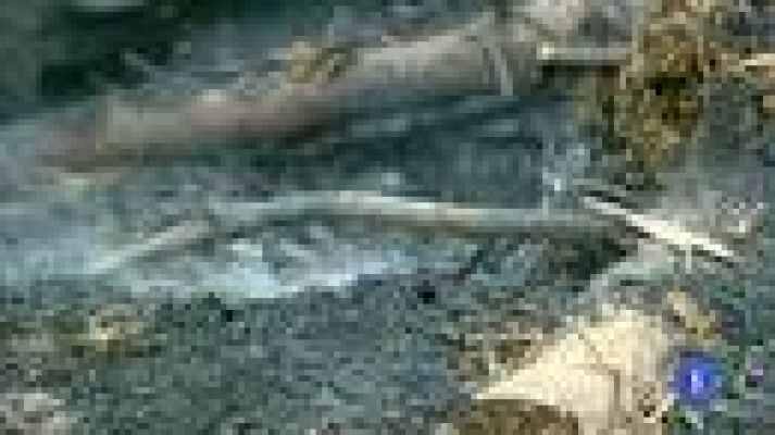 Telediario 1 - Fuego de Fragas do Eume, controlado