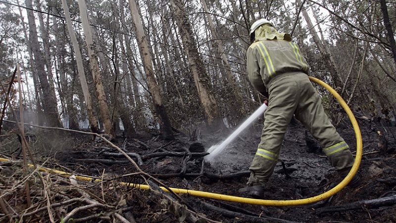 La Xunta  pide endurecer las penas para los culpables de incendios intencionados