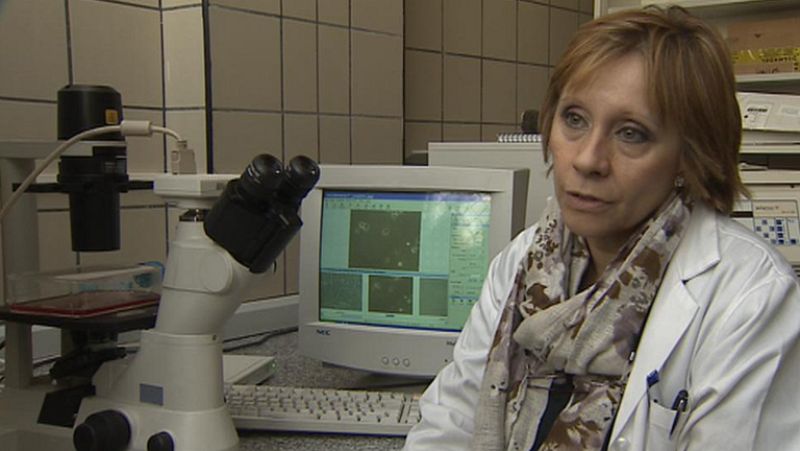 La Guardia Civil investiga el lugar de las células madre de 500 cordones umbilicales 