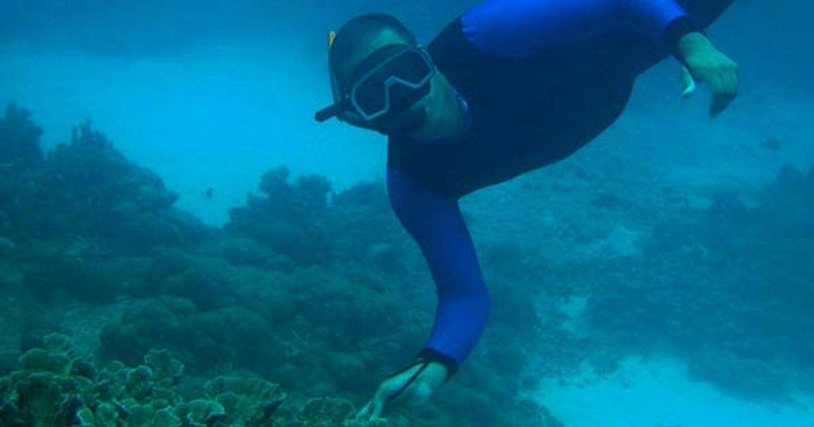 El gobierno quiere crear cinco áreas marinas protegidas en los próximos años