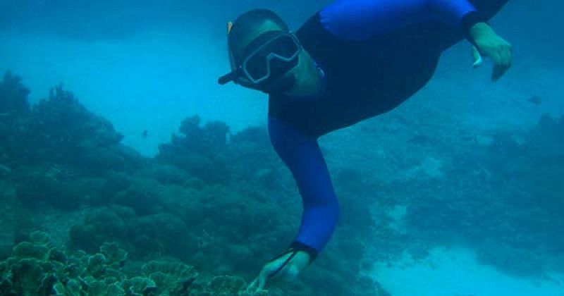 El gobierno quiere crear cinco áreas marinas protegidas en los próximos años - Ciencia y tecnología en Rtve.es | Ver