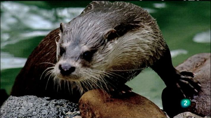 Biodiario - Biodiario - 02/04/12