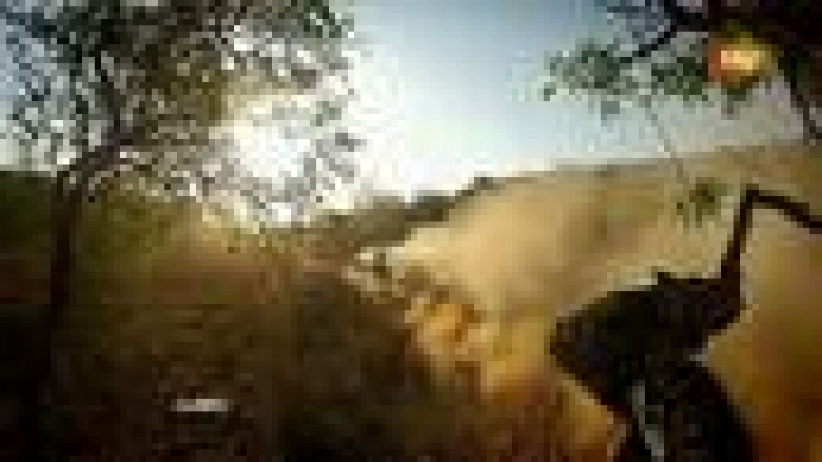 Resumen del Rally de Portugal | Ver