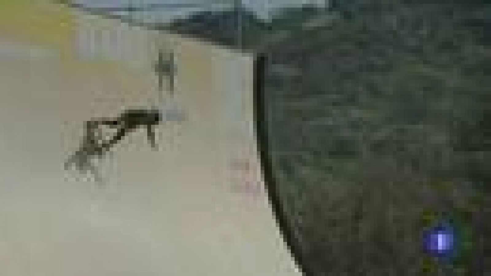 Un giro de 1.080 grados | Ver