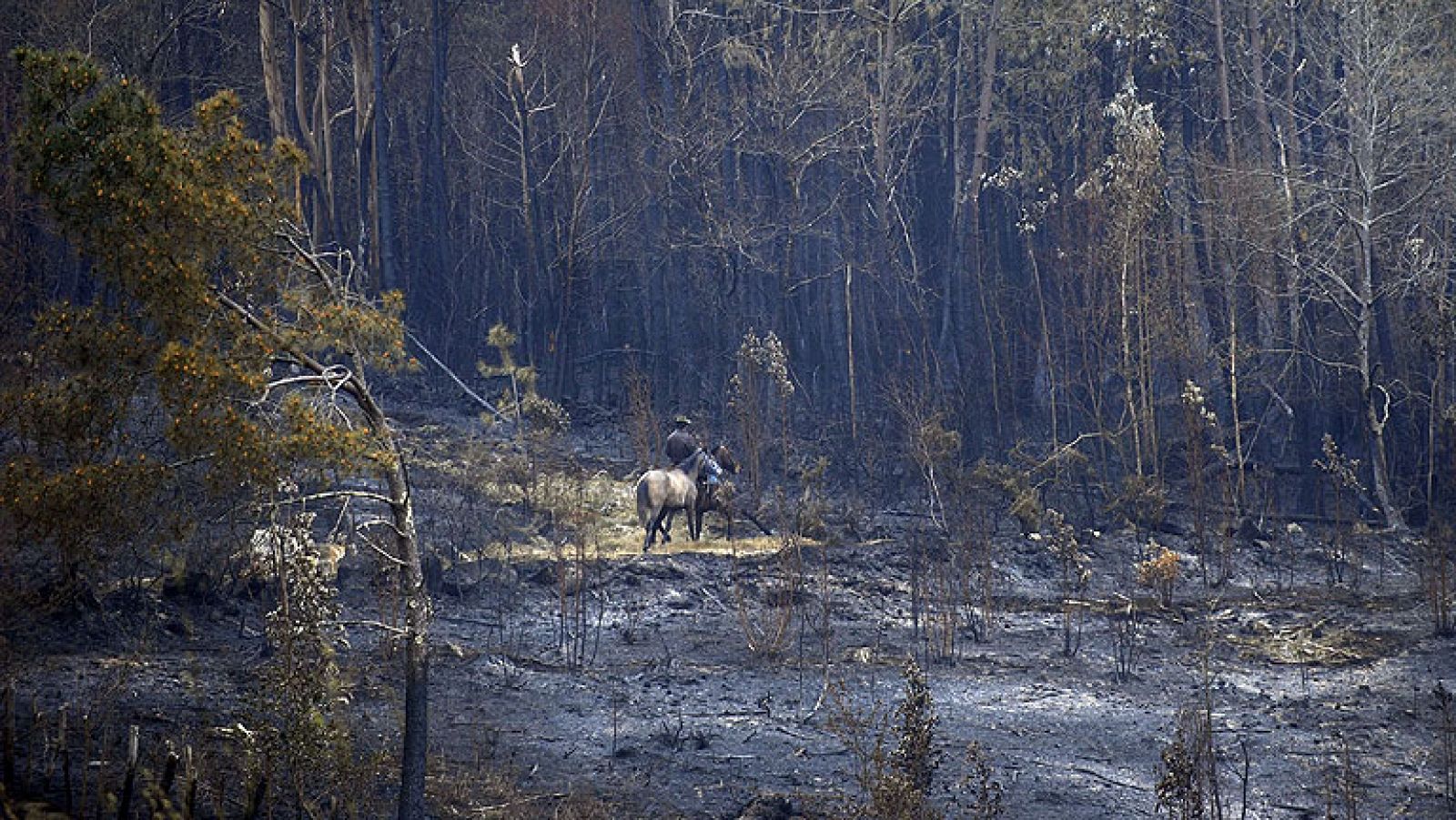 Controlado el incendio de las Fragas do Eume