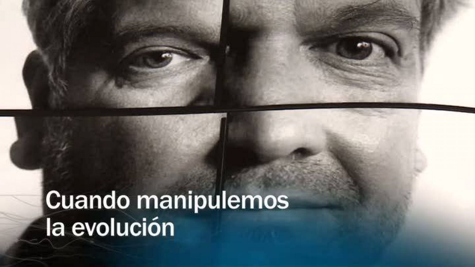 Redes - Cuando manipulemos la evolución - avance