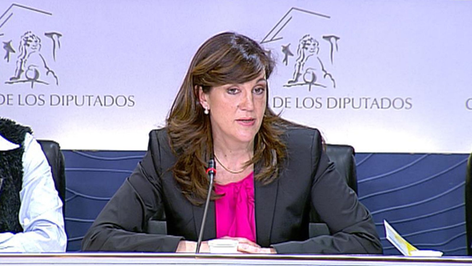 El PSOE e IU presentarán enmienda a la totalidad de los presupuestos