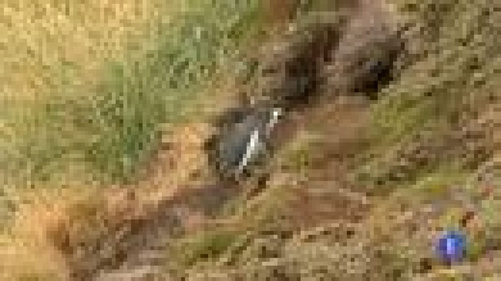 30 años después de la guerra Las Malvinas sigue siendo terreno minado