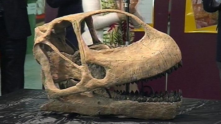 Telediario 1 - El cráneo de dinosaurio