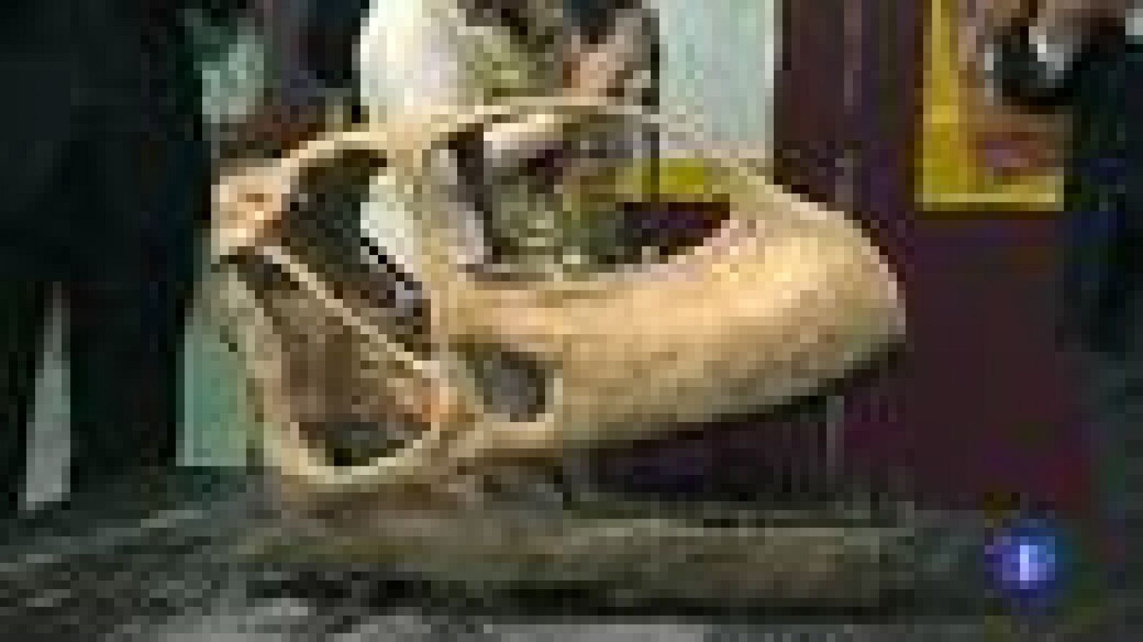 La cabeza del dinosaurio Gigante Europeo | RTVE La cabeza del dinosaurio Gigante Europeo | RTVE