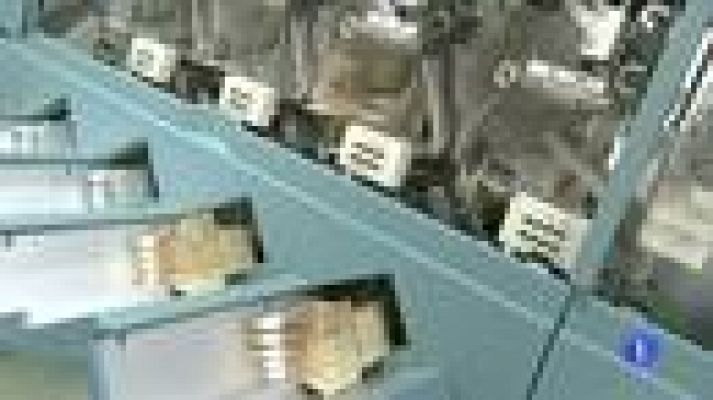 Telediario 1 - Subasta del tesoro