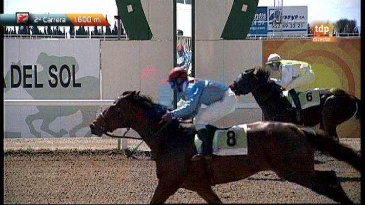 Turf - Turf - Carreras de caballos - 06/04/12