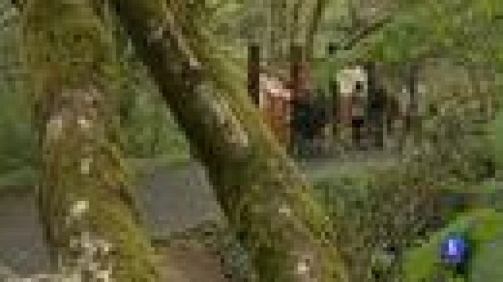 Telediario 1 - El control del fuego en Fragas